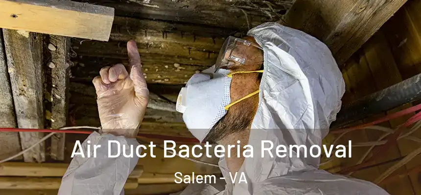  Air Duct Bacteria Removal Salem - VA