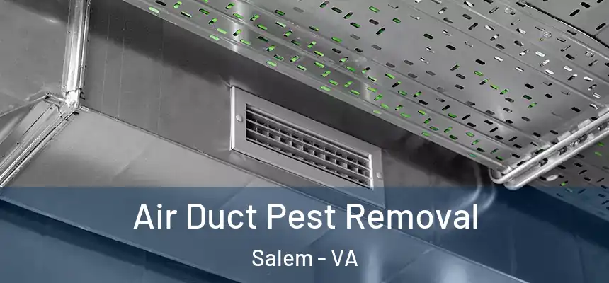 Air Duct Pest Removal Salem - VA