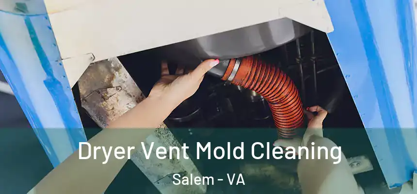 Dryer Vent Mold Cleaning Salem - VA