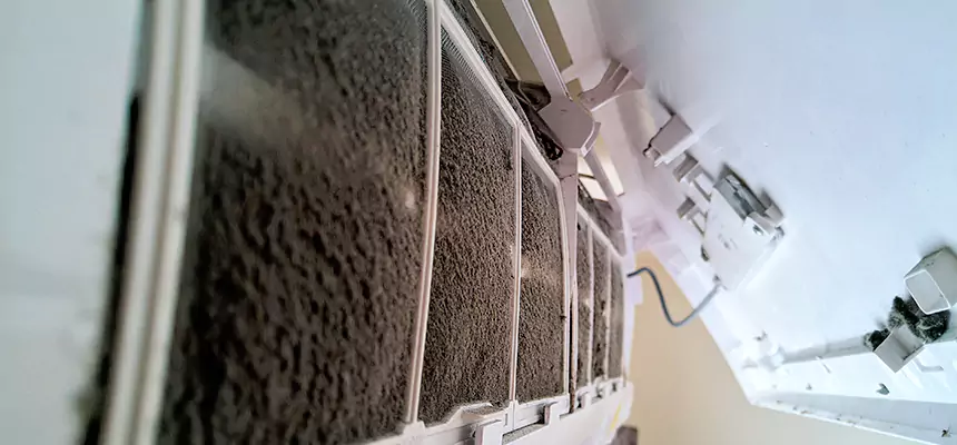 Preventive Air Duct Bacteria Removal in Salem