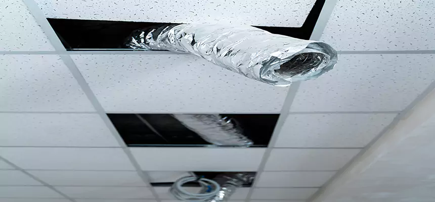 Our Air Duct Pet Hair Removal Services in Salem, VA