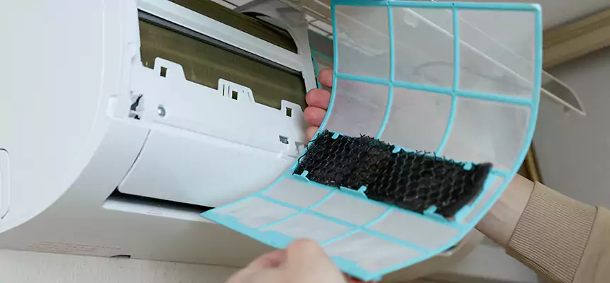 Gentle Ductwork Odor-Control Pet Dander Duct Cleaning in Salem, VA