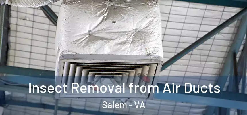  Insect Removal from Air Ducts Salem - VA