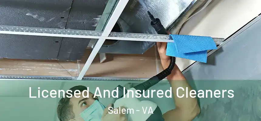  Licensed And Insured Cleaners Salem - VA