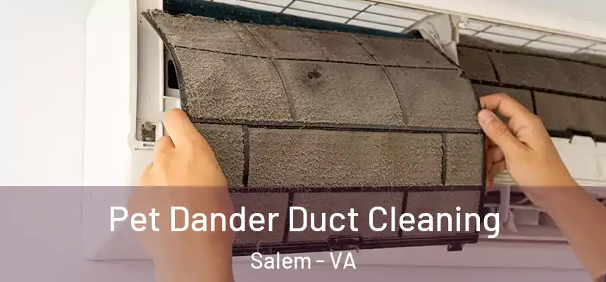 Pet Dander Duct Cleaning Salem - VA