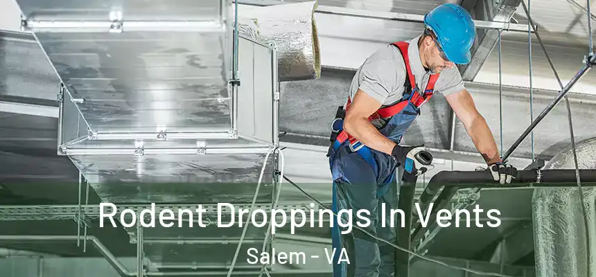  Rodent Droppings In Vents Salem - VA