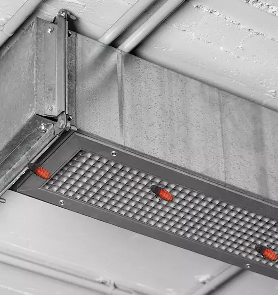 Affordable Insect Removal from Air Ducts in Salem, VA