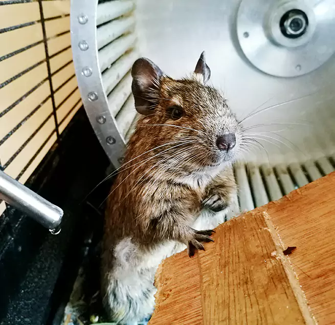 Why Homeowners & Businesses Trust Us Salem, VA